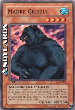 MADRE GRIZZLY